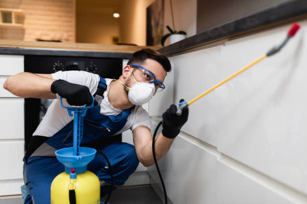 Best Best Pest Control Companies  in Broadway, NC