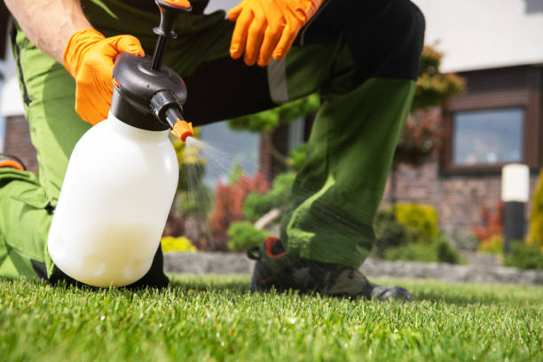Best Emergency Pest Control  in Broadway, NC