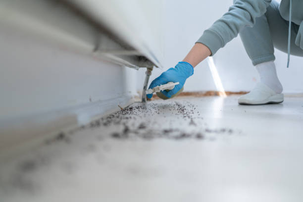 Best Best Pest Control Companies  in Broadway, NC